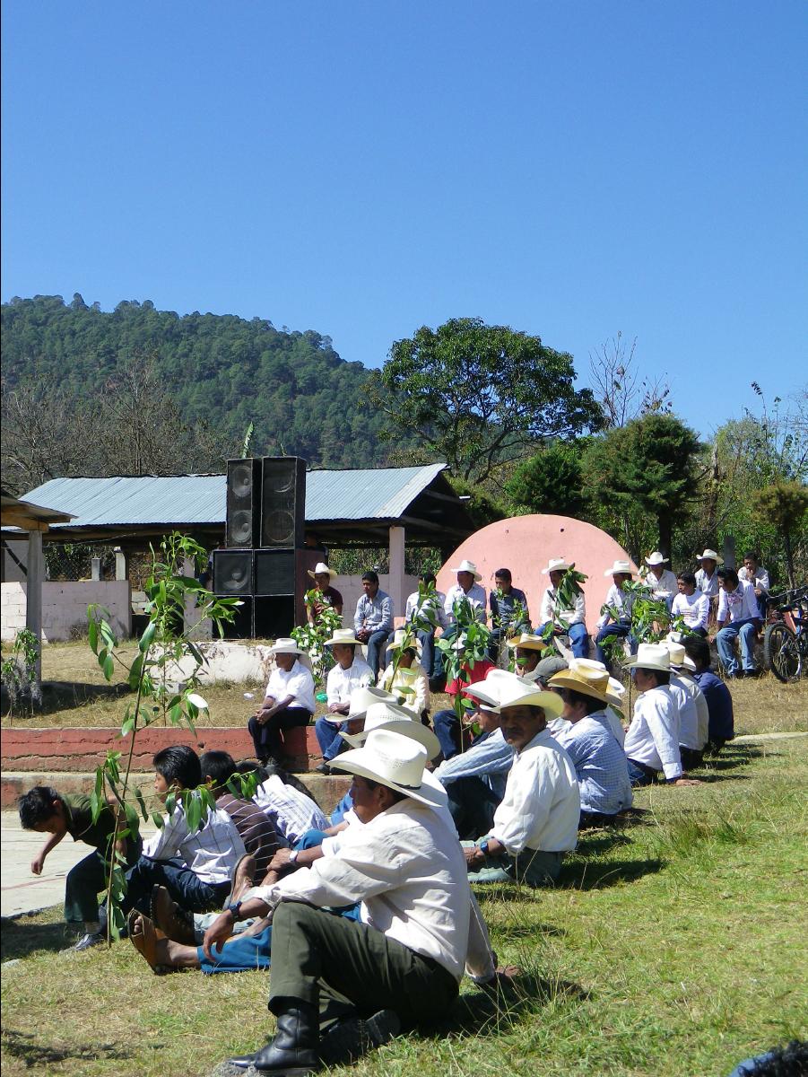 Local School06